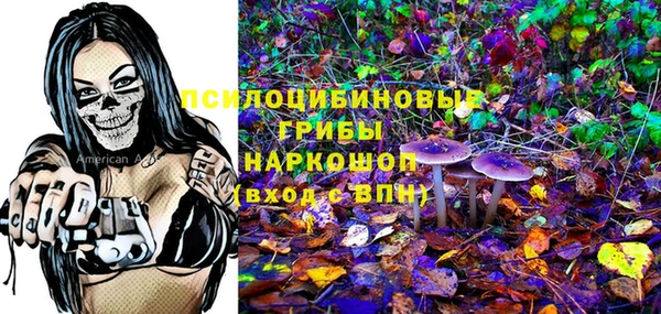 гидропоника Лагань