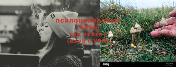 гидропоника Лагань