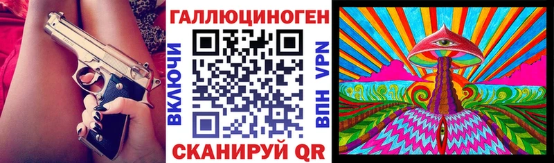 закладка  Шимановск  Псилоцибиновые грибы мухоморы 